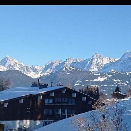 Studio Porte Du Mont Blanc Combloux Aux Pieds Des Pistes Buitenkant foto