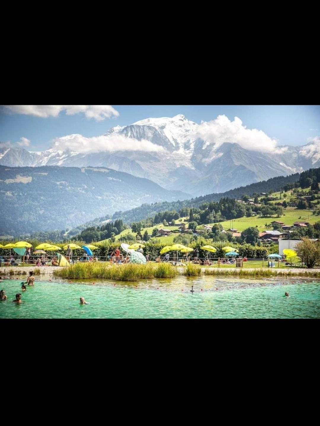 Studio Porte Du Mont Blanc Combloux Aux Pieds Des Pistes Buitenkant foto